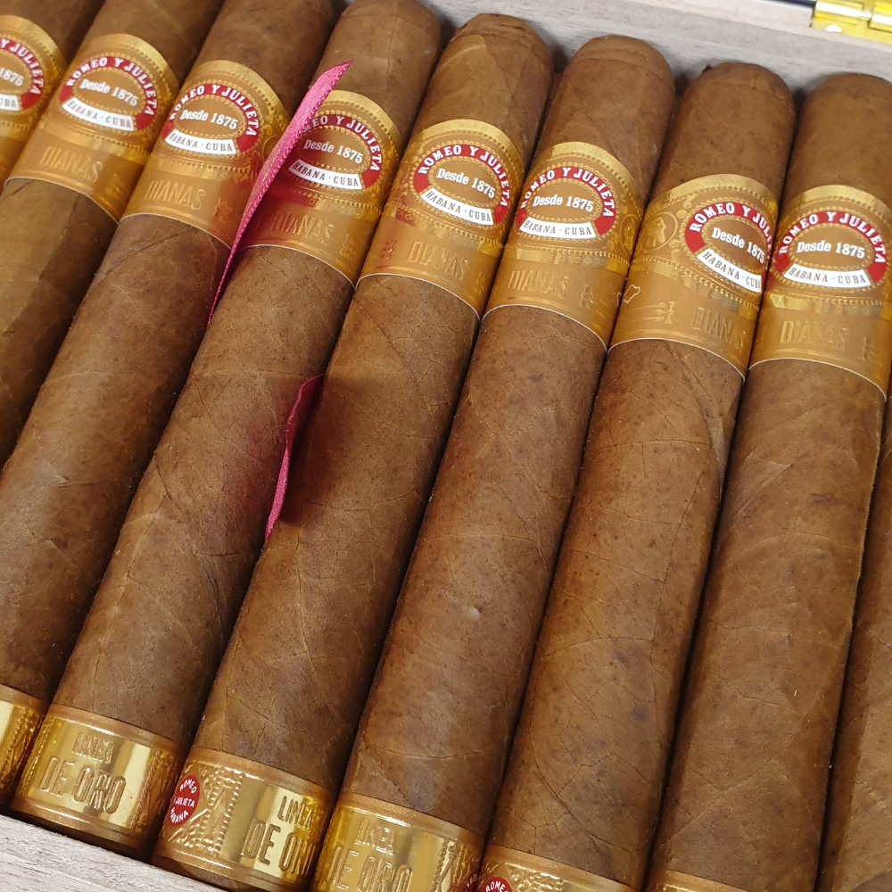 Romeo Y Julieta Linea de Oro Hidalgos (20)